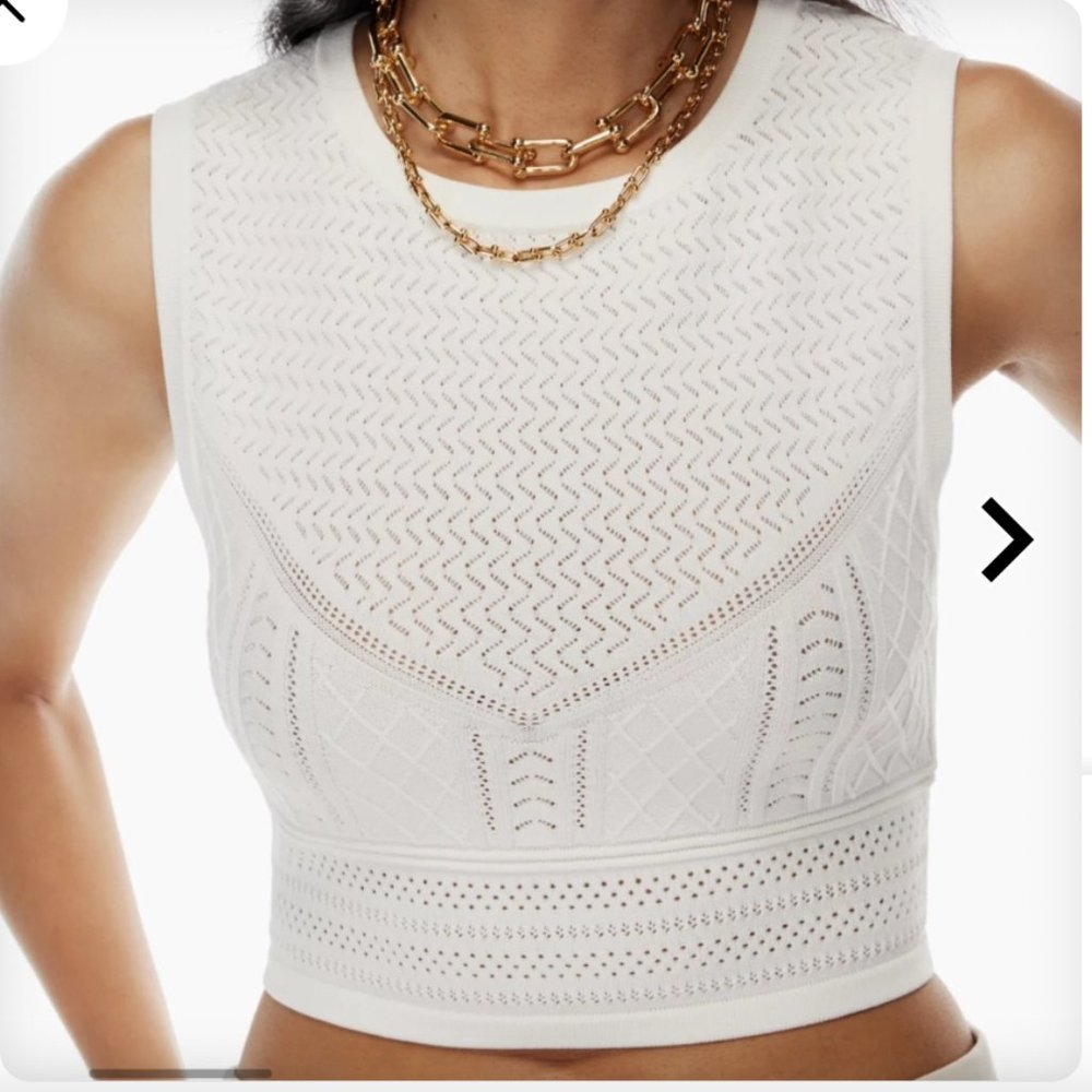 Aritzia Babaton Pointelle Tank